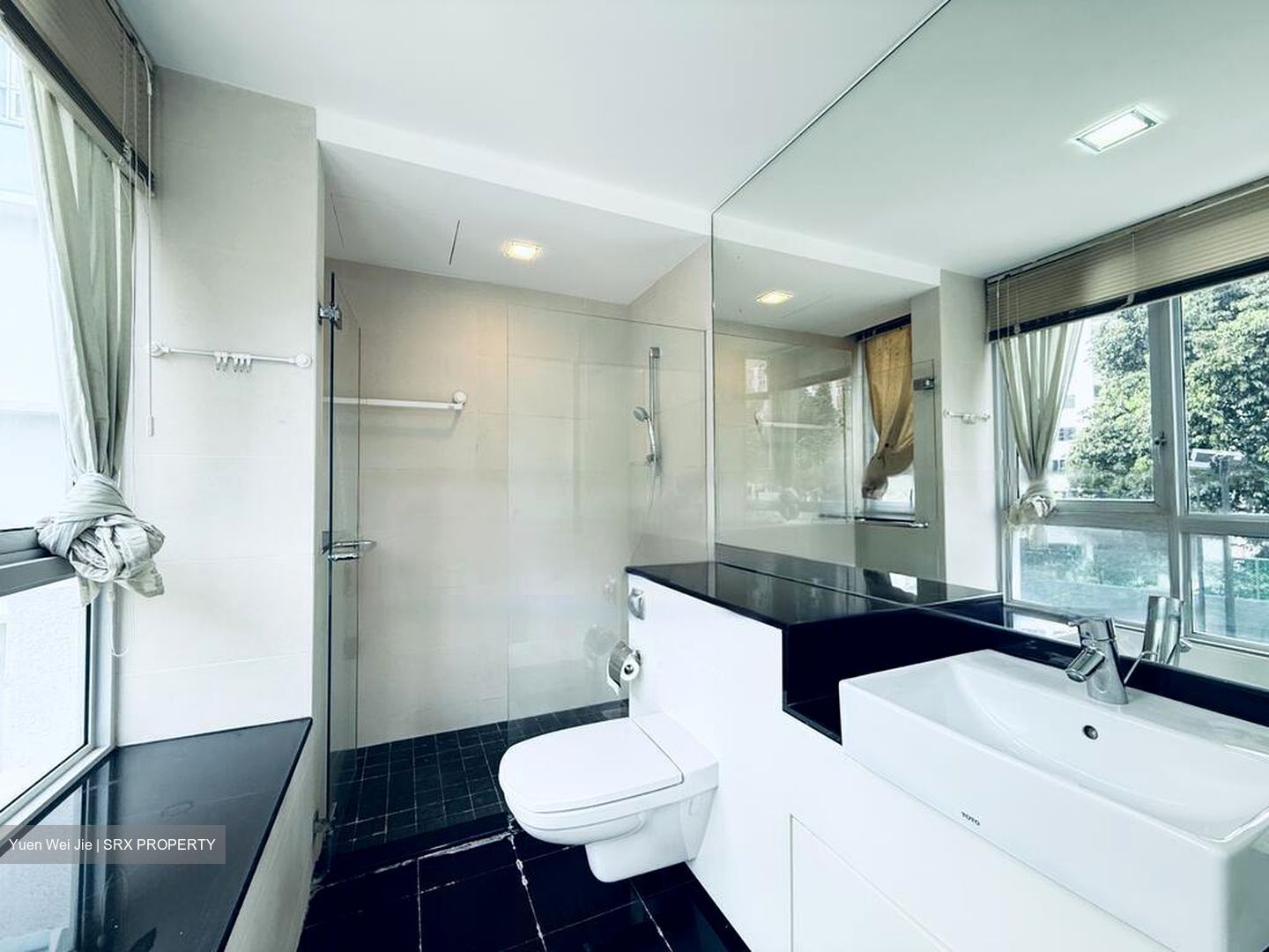 Twin Regency (D3), Condominium #502577181